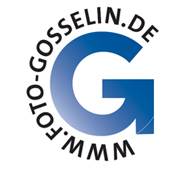 Logo Martin-Karl Gosselin