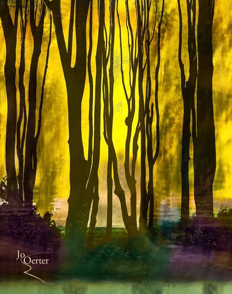 Wald in Abendstimmung