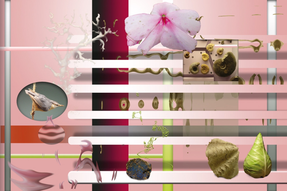 Ingrid Roschek, Naturkunde